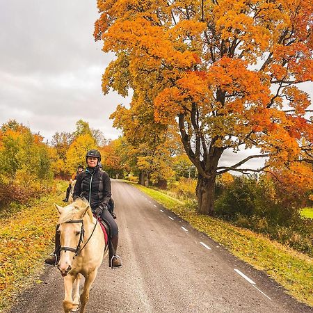 Tihuse Horsefarm B&B Liiva  Экстерьер фото