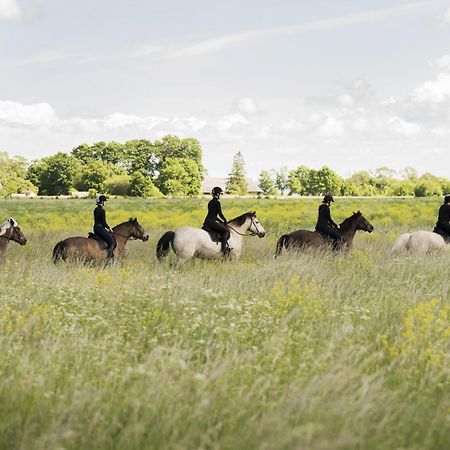 Tihuse Horsefarm B&B Liiva  Экстерьер фото