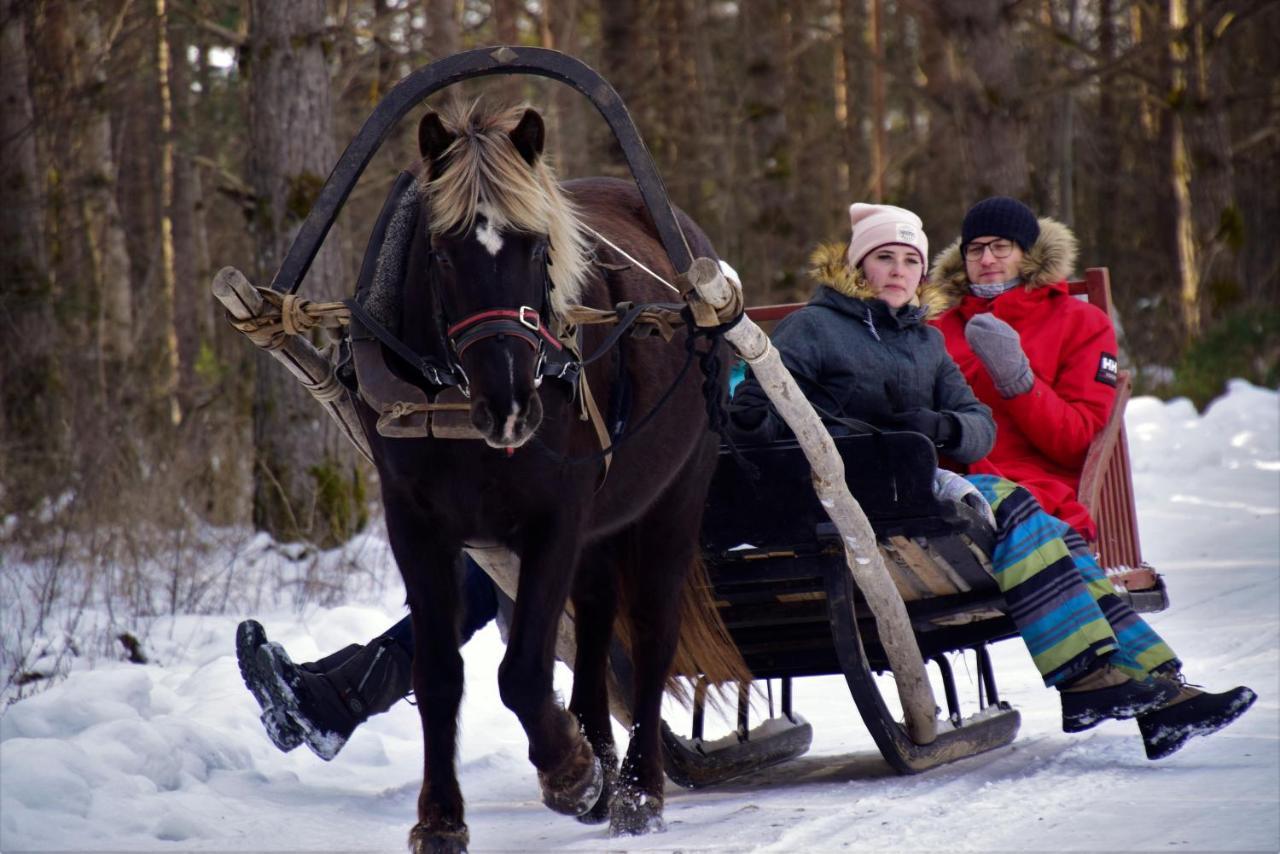 Tihuse Horsefarm B&B Liiva  Экстерьер фото