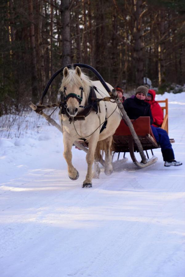 Tihuse Horsefarm B&B Liiva  Экстерьер фото