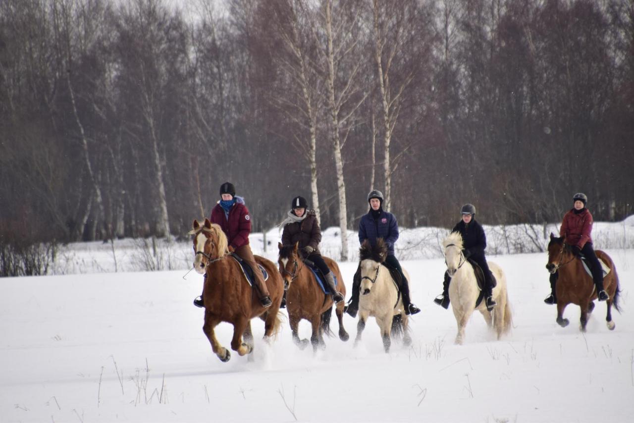 Tihuse Horsefarm B&B Liiva  Экстерьер фото