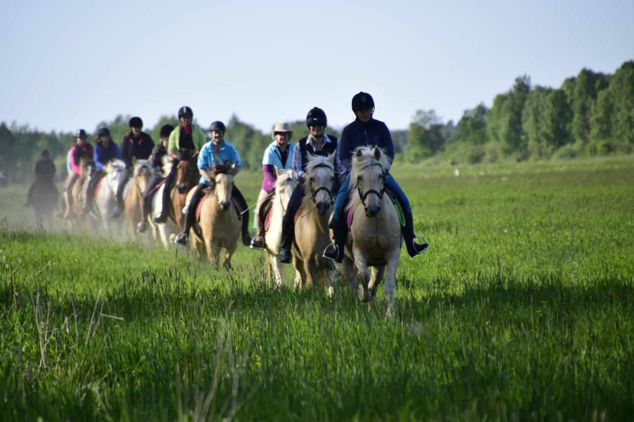 Tihuse Horsefarm B&B Liiva  Экстерьер фото