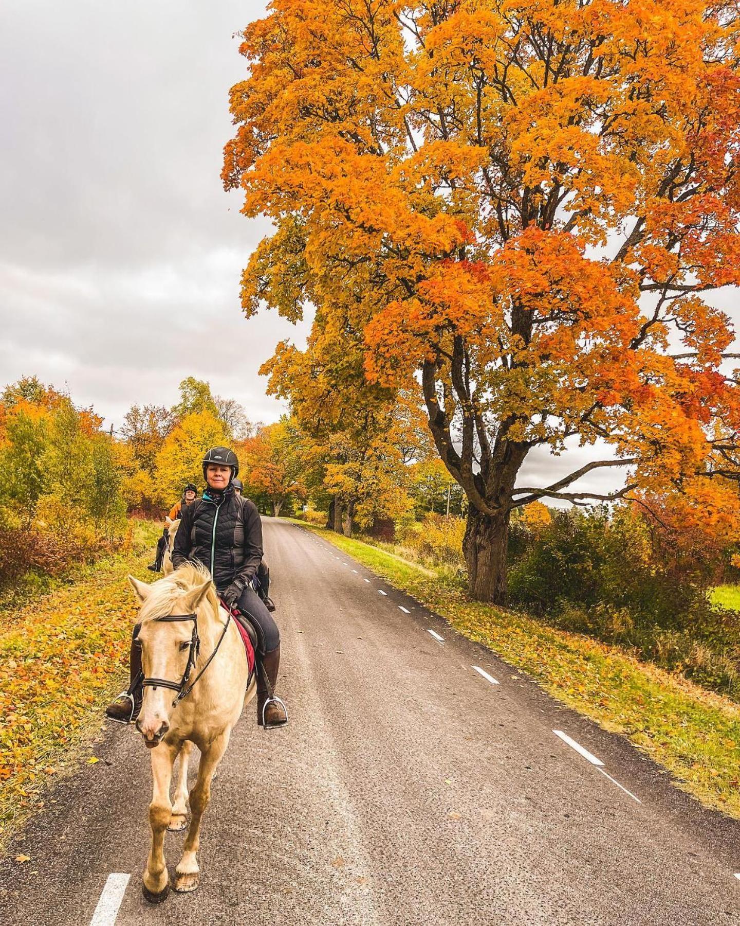 Tihuse Horsefarm B&B Liiva  Экстерьер фото