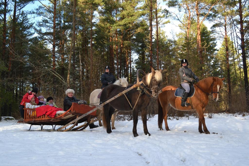 Tihuse Horsefarm B&B Liiva  Номер фото