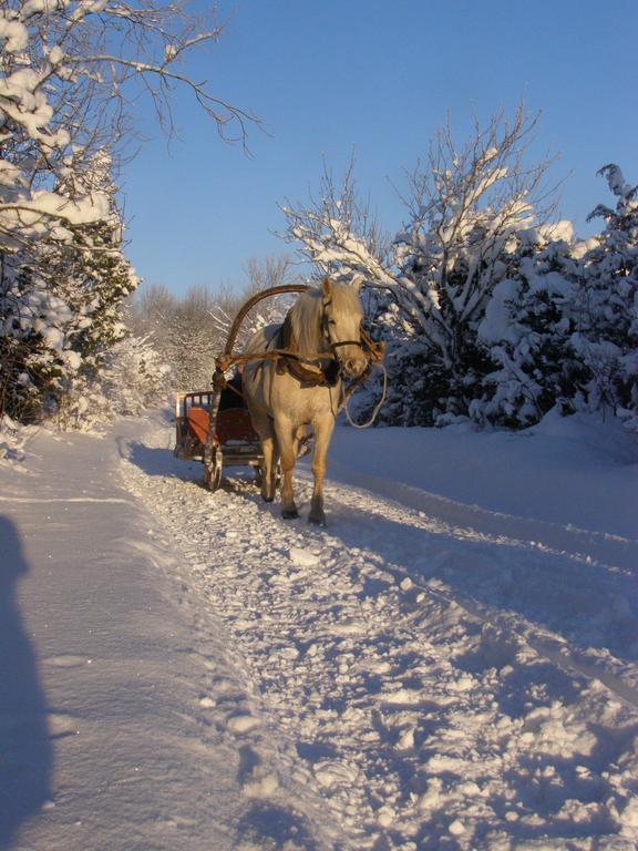 Tihuse Horsefarm B&B Liiva  Номер фото