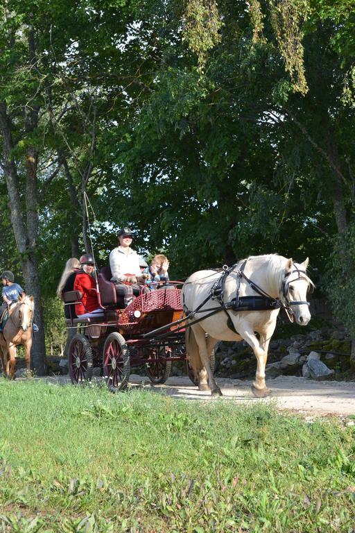 Tihuse Horsefarm B&B Liiva  Номер фото