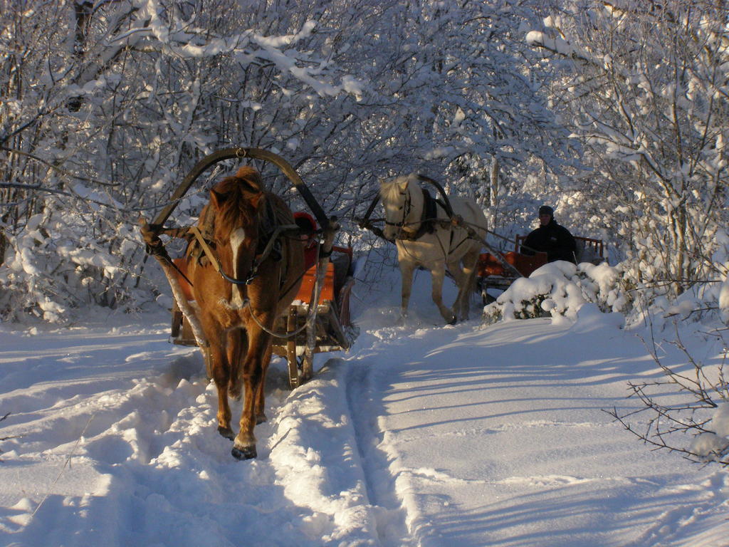 Tihuse Horsefarm B&B Liiva  Номер фото